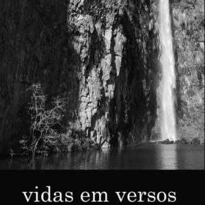 Vidas em versos